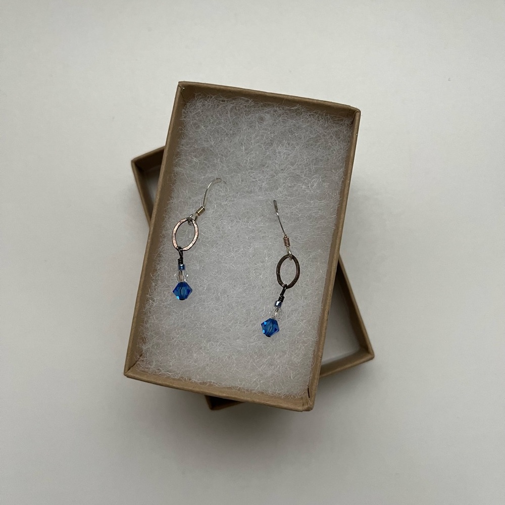 NWT Hanging Earrings Silver and Blue